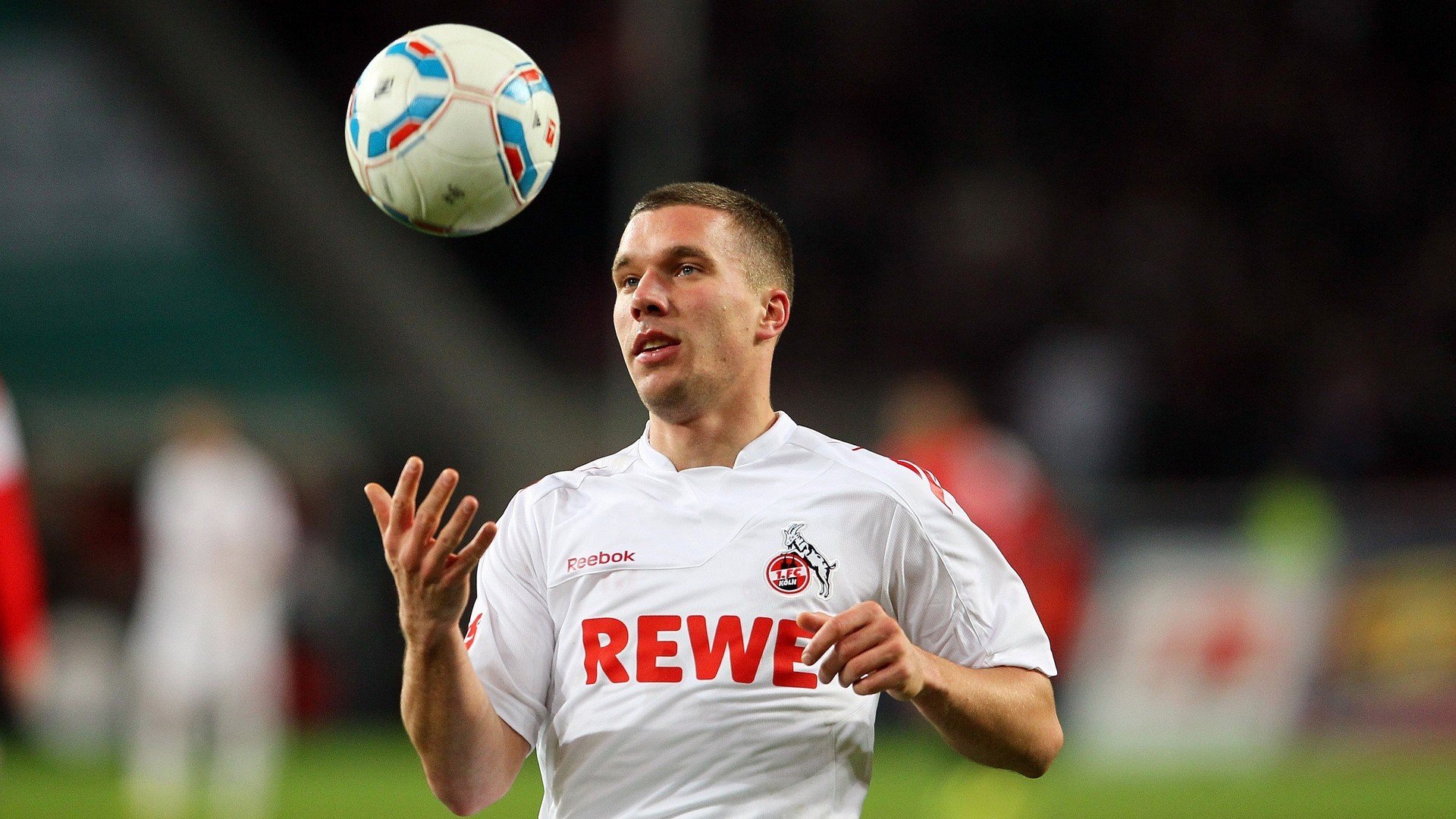 体育赛事粉丝增长趋势